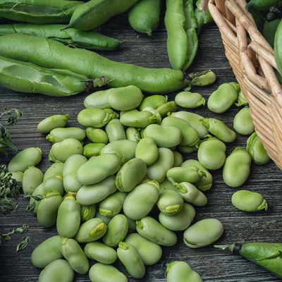 Broad Beans