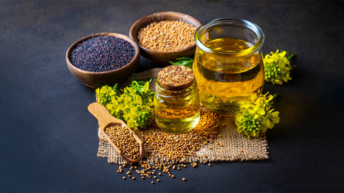 edible-oils-image-2