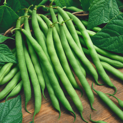 Green Beans