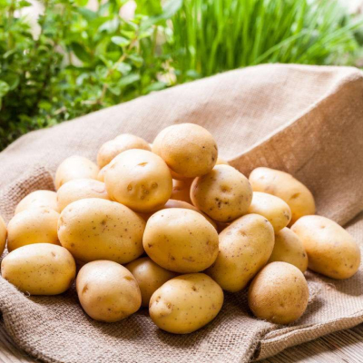 Potato
