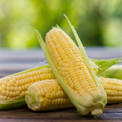 Sweet Corn