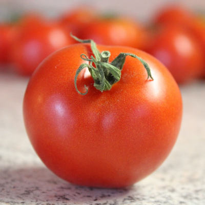 Tomato