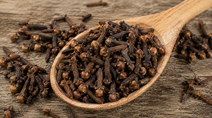 cloves-aaradhya-global-trade